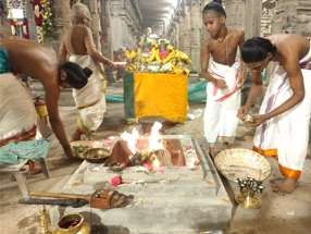 agni homam ritual