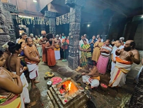 nadi remedies