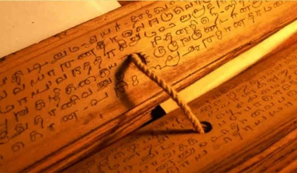 original nadi leaf