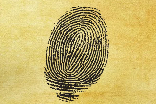 thumb impression astrology